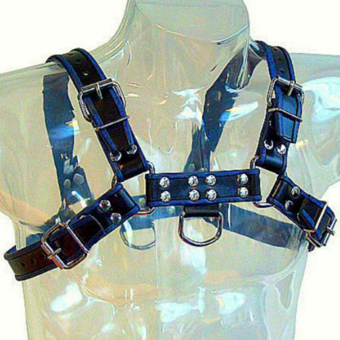 Leather Body — Harnais Bulldog bleu et noir