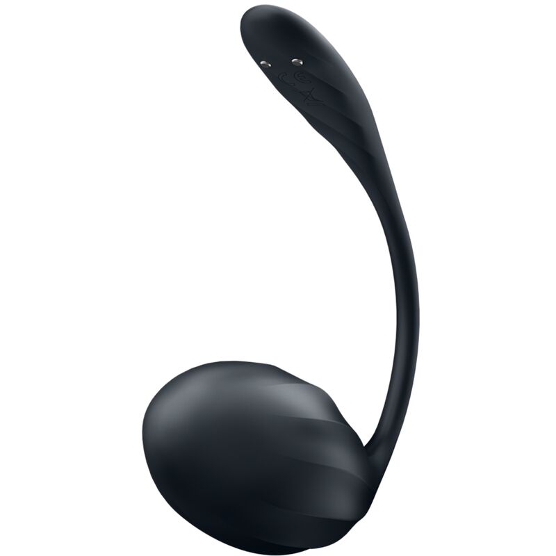 Satisfyer Ribbed Petal — Œuf vibrant connecté — Noir